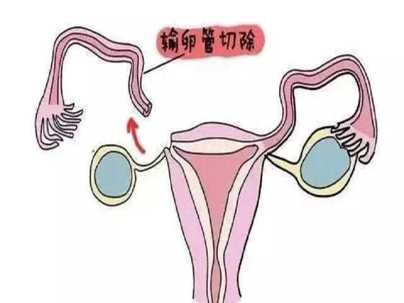 北京代孕怎么找靠谱机构，北京市代生供卵代怀