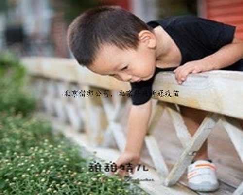 北京借卵公司，北京科兴新冠疫苗