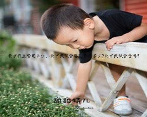 北京代生费用多少，北京做试管婴儿费用多少?北京做试管贵吗?