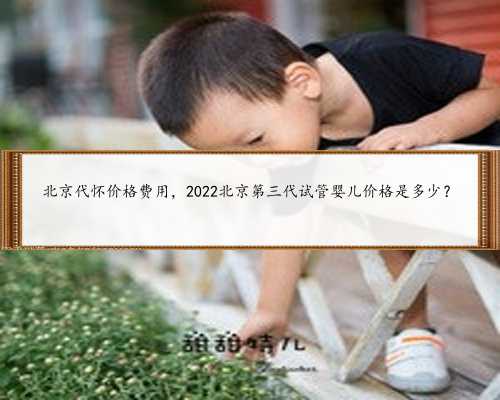 北京代怀价格费用，2022北京第三代试管婴儿价格是多少？