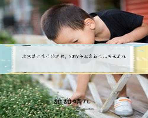 北京借卵生子的过程，2019年北京新生儿医保流程