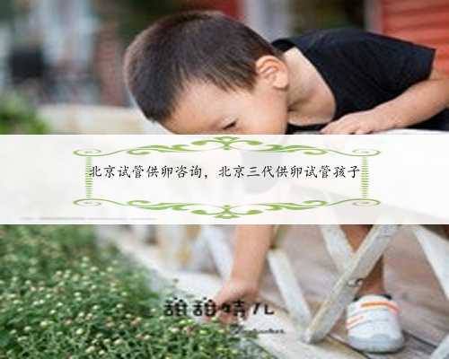 北京试管供卵咨询，北京三代供卵试管孩子