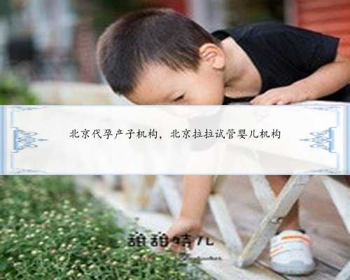 北京代孕产子机构，北京拉拉试管婴儿机构