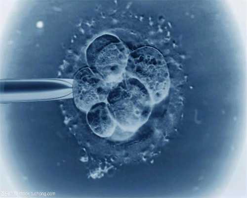 37岁代孕注意事项_酵素助孕的原理是什么