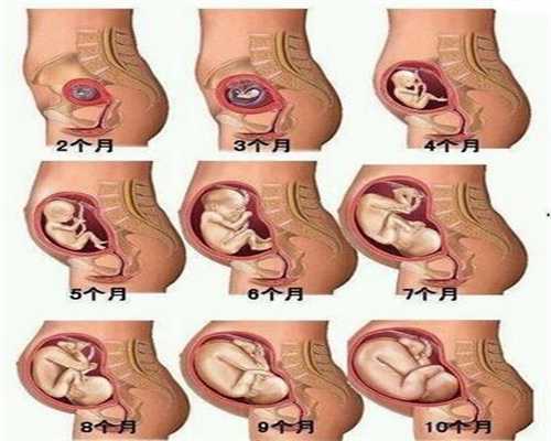 十七个助孕的少女电影·20115.8：扬州代孕种类