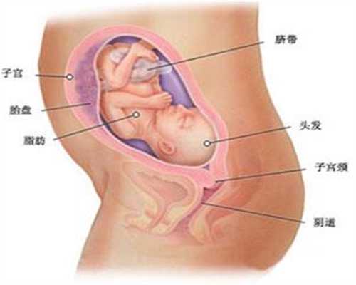 为什么代怀孕初期那么想睡觉：宜昌AA69代孕