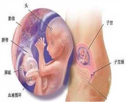 生化妊娠后多久可以同房：武汉美女供卵