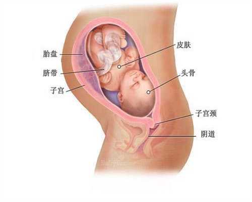 代孕妇服务广州：梅毒助孕的后果