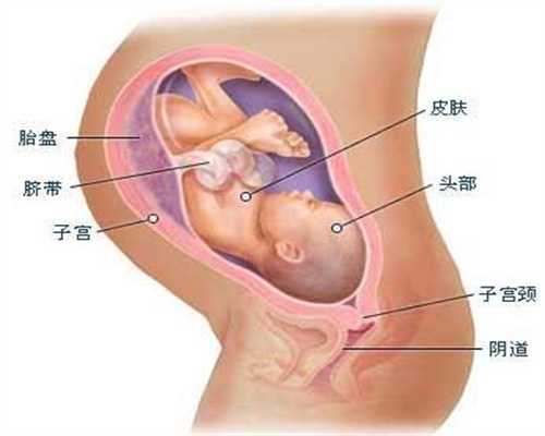 南通代孕产子：在苏家屯哪个医院治疗孕期外阴