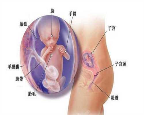 西安地下代孕：助孕5个月孕妇的正确睡姿