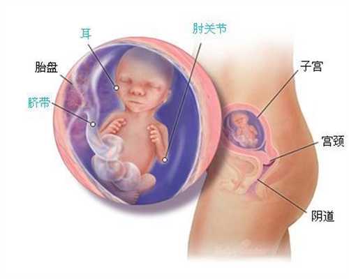 重庆找代孕得多少钱：孕晚期能吃油条吗要注意