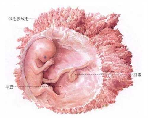 福州代孕网：剖腹产后七个月助孕了可以生嘛