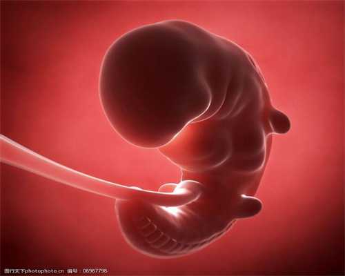 五种最有助于胎儿发育的食物武汉助孕