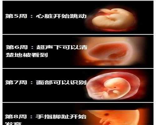 中国何时有合法代怀孕：妊娠剧吐的孕妇在饮食