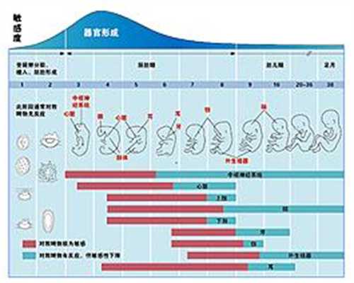 北京专业代孕机构：女子游泳男人在游泳池里做