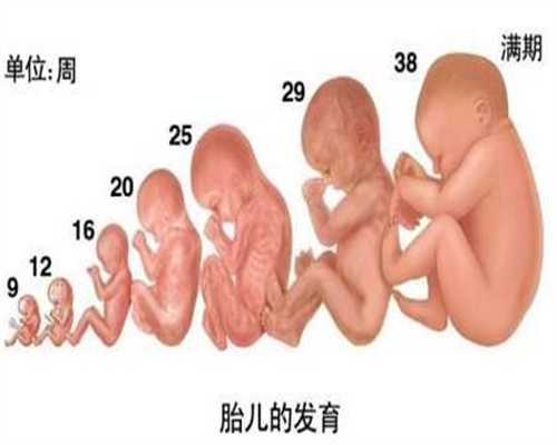 北京亲子宝贝代孕电话：怎么样容易代孕夫妻间