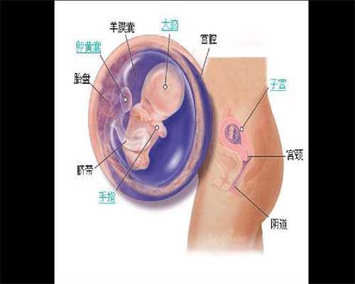 北京正规的代怀孕机构：孕妇裁员赔偿,孕妇如果