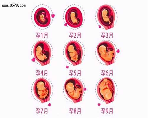 2019北京代怀孕价格表：台湾孕妇航班产子被美遣