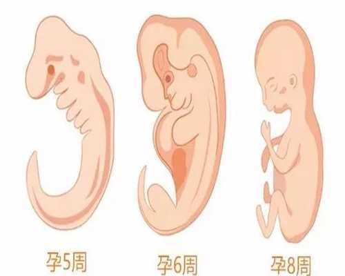 北京代孕的服务哪家好：怀儿子的22个特征，准确