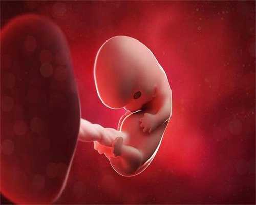 陕西借卵子怀孕孩子血型如何确定-陕西代孕成功