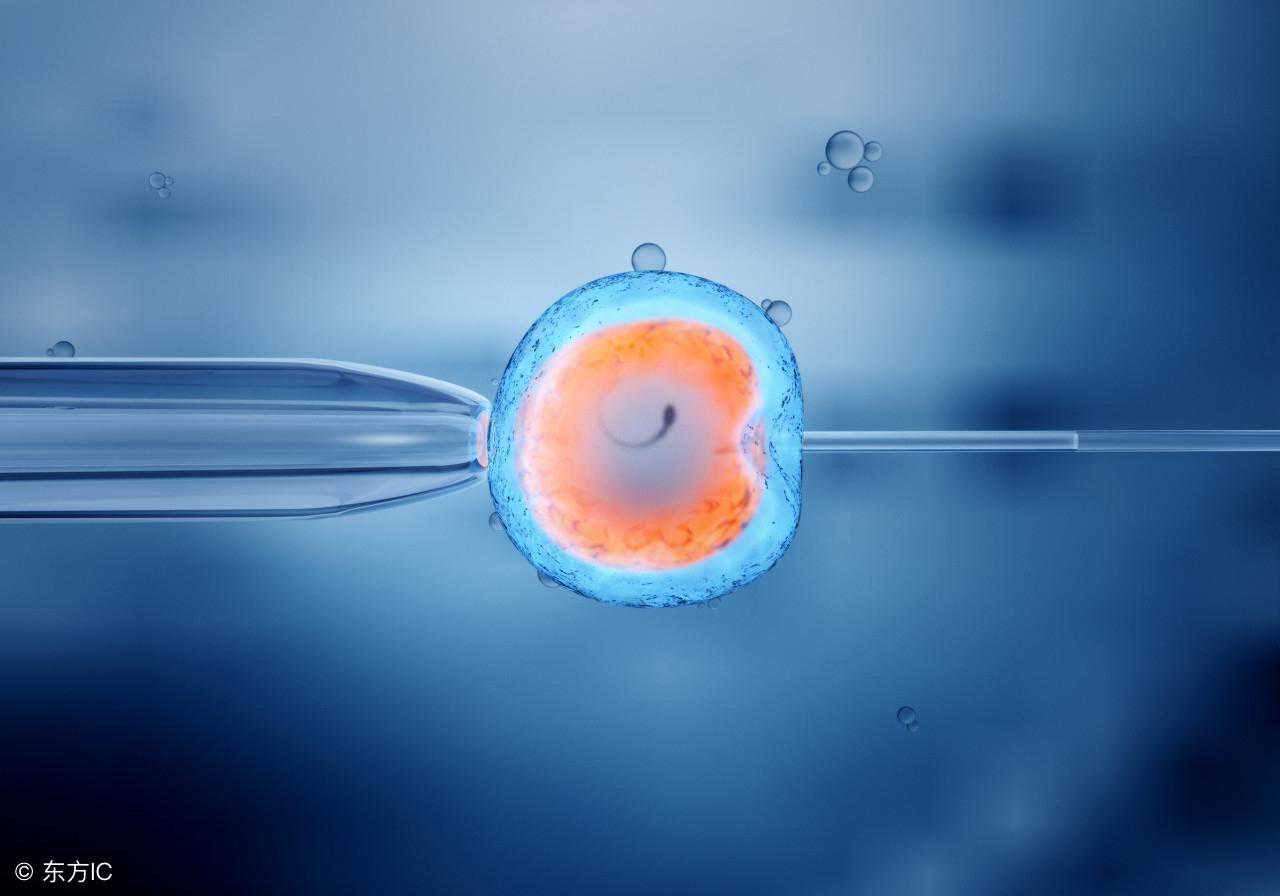 胚胎移植失败，多与这3个因素密切相关，希望你不会中招