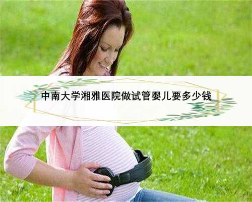 中南大学湘雅医院做试管婴儿要多少钱